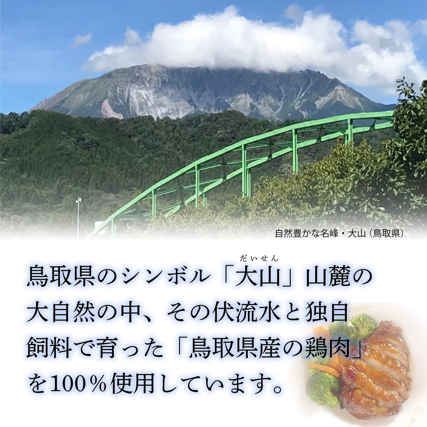 鳥取県産「鳥取のとり」ローストレッグ（タレ焼き）６本セット